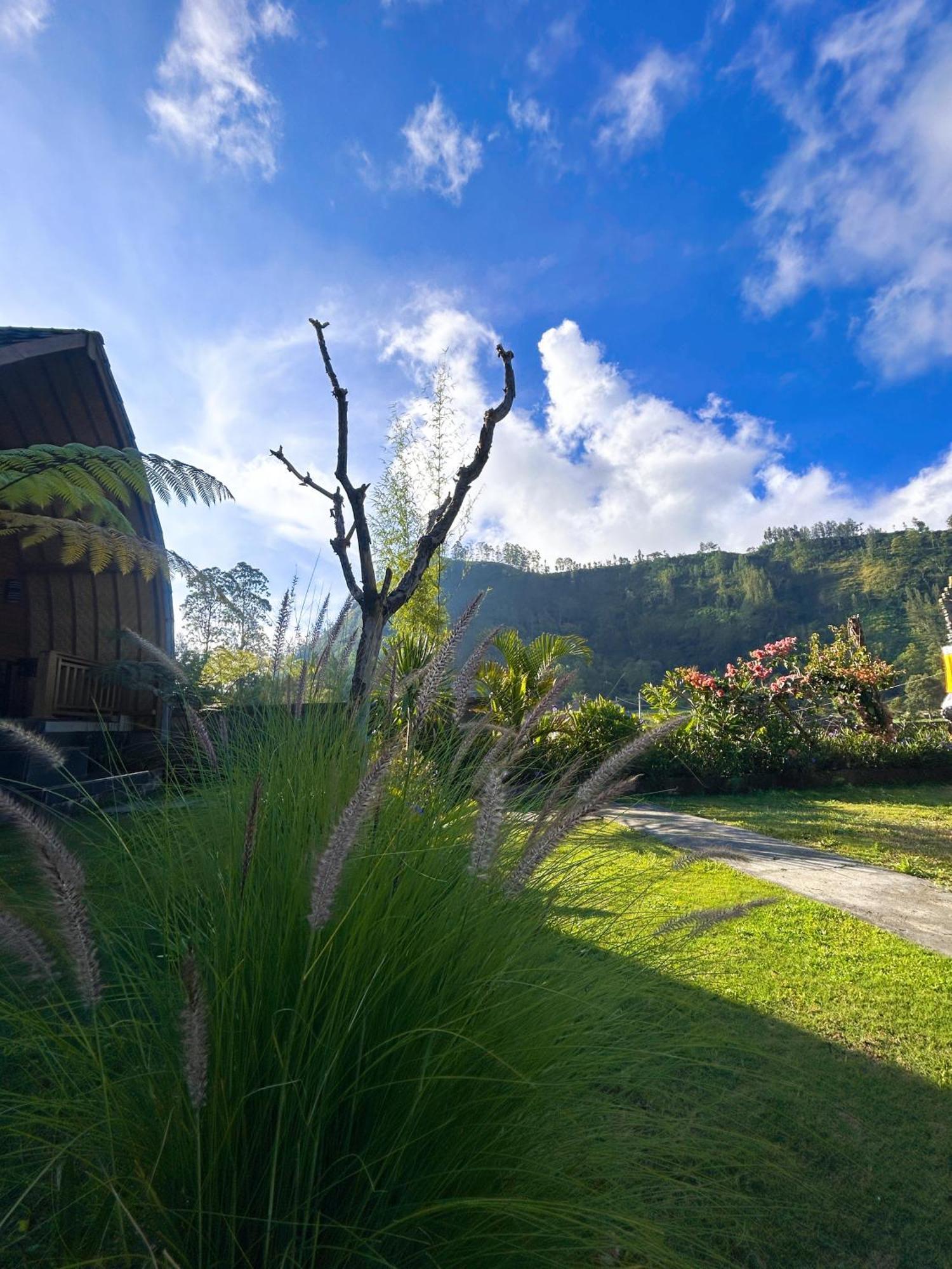 Batur Cottage Kubupenlokan Eksteriør bilde
